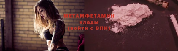 прущие грибы Осташков