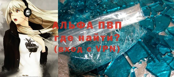 прущие грибы Осташков