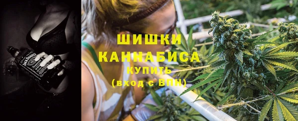шишки Абинск